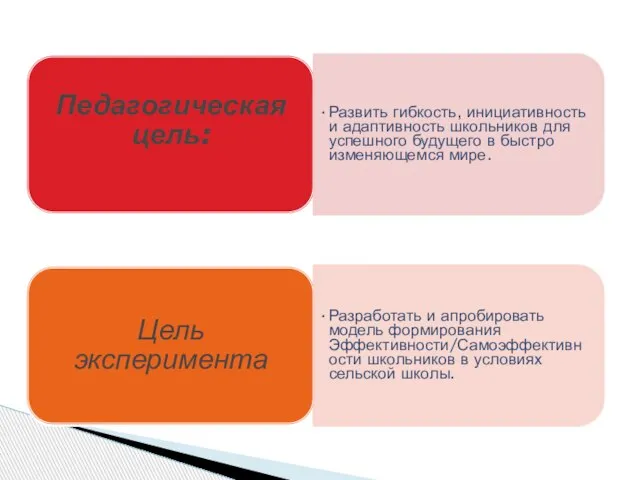 Педагогическая цель: Развить гибкость, инициативность и адаптивность школьников для успешного будущего в