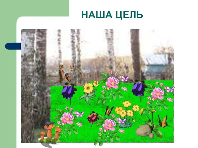 НАША ЦЕЛЬ