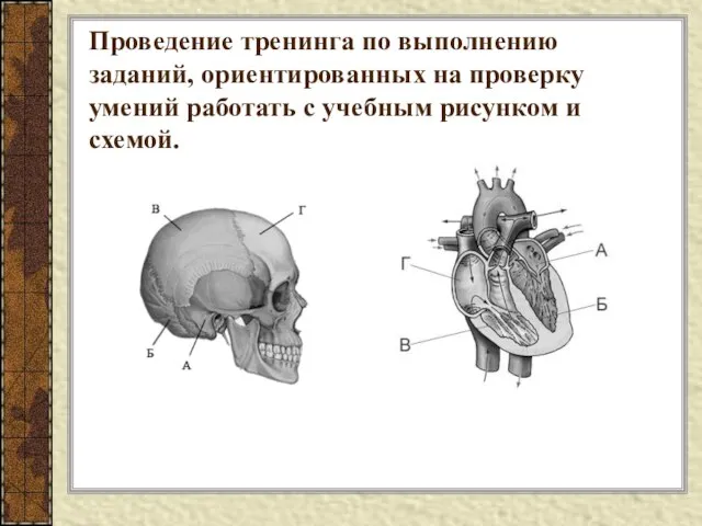 Проведение тренинга по выполнению заданий, ориентированных на проверку умений работать с учебным рисунком и схемой.