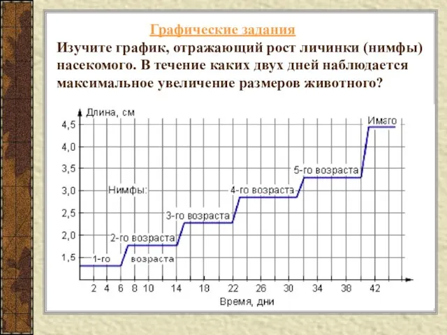 Графические задания Изучите график, отражающий рост личинки (нимфы) насекомого. В течение каких