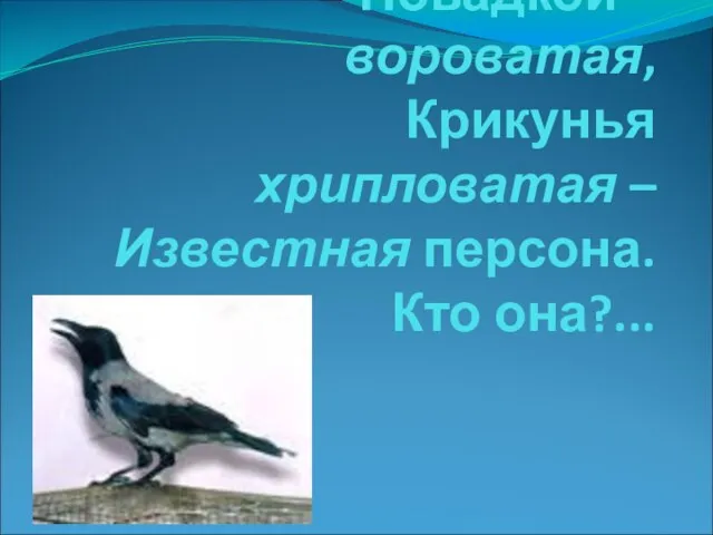 Окраской – сероватая, Повадкой – вороватая, Крикунья хрипловатая – Известная персона. Кто она?...