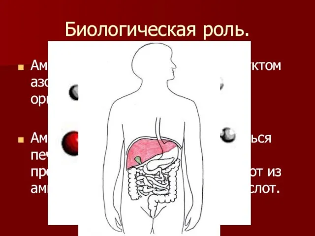 Биологическая роль. Аммиак является конечным продуктом азотистого обмена в организме человека и