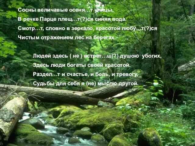 Сосны величавые осеня…т улицы, В речке Парце плещ…т(?)ся синяя вода. Смотр…т, словно