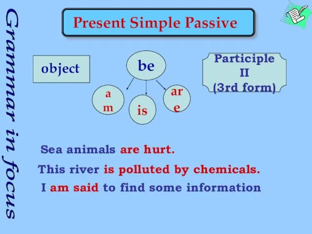 Grammar in focus am is are Present Simple Passive Participle II (3rd