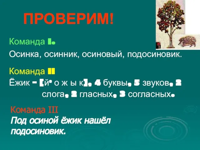 ПРОВЕРИМ! Команда I. Осинка, осинник, осиновый, подосиновик. Команда II Ёжик – [й,