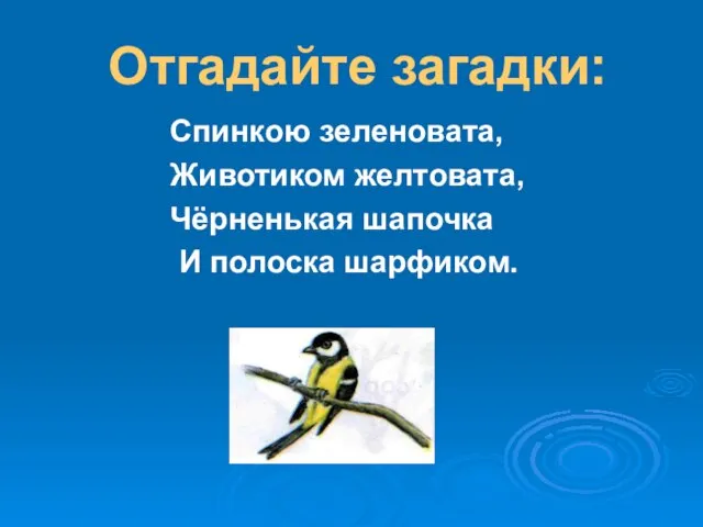 Отгадайте загадки: Спинкою зеленовата, Животиком желтовата, Чёрненькая шапочка И полоска шарфиком.