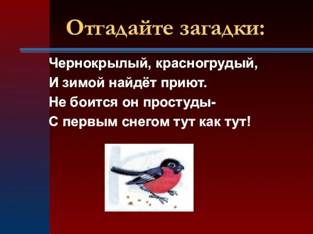 Чернокрылый, красногрудый, И зимой найдёт приют. Не боится он простуды- С первым