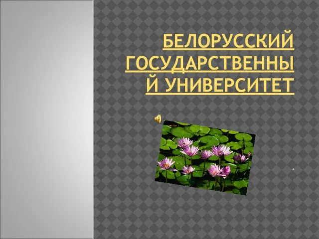 БЕЛОРУССКИЙ ГОСУДАРСТВЕННЫЙ УНИВЕРСИТЕТ А 2010.Г