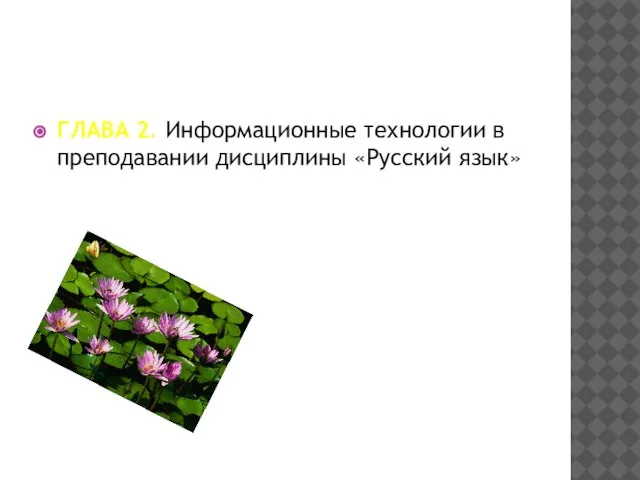 ГЛАВА 2. Информационные технологии в преподавании дисциплины «Русский язык»