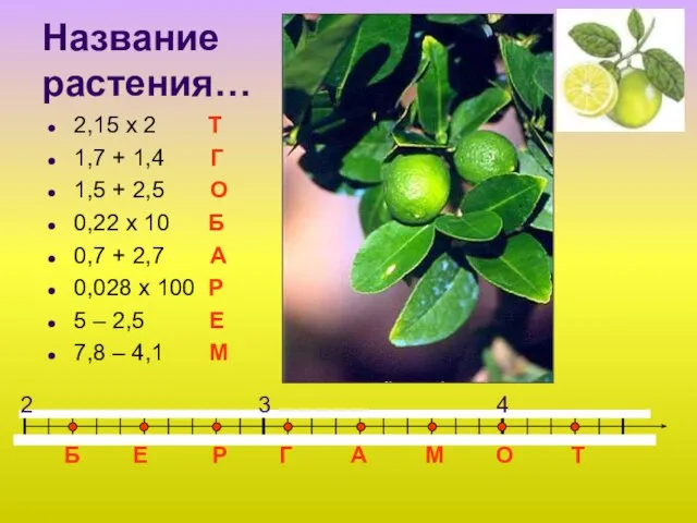 Название растения… 2,15 х 2 Т 1,7 + 1,4 Г 1,5 +