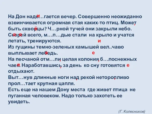 На Дон надв…гается вечер. Совершенно неожиданно взвинчивается огромная стая каких-то птиц. Может