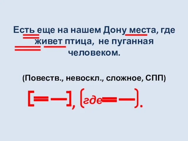 Есть еще на нашем Дону места, где живет птица, не пуганная человеком.