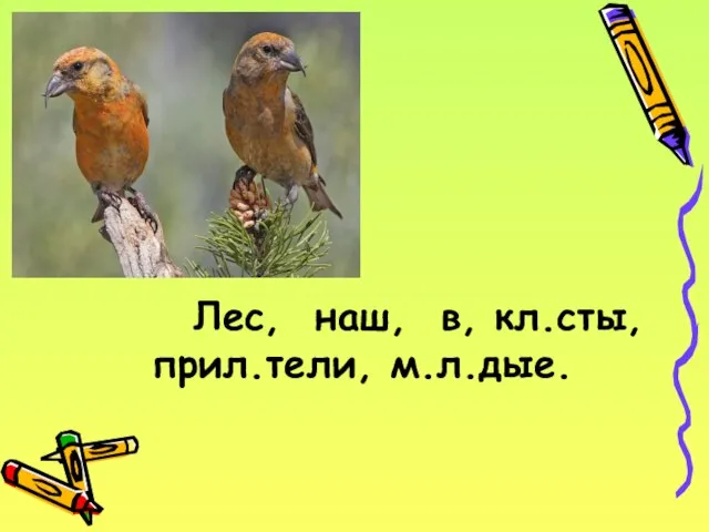 Лес, наш, в, кл.сты, прил.тели, м.л.дые.