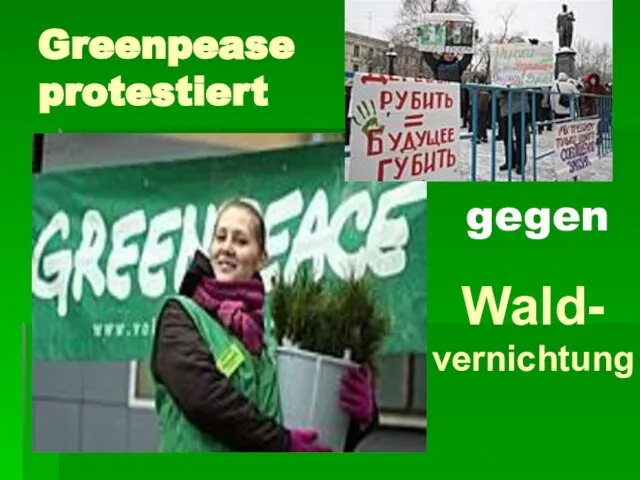 Greenpease protestiert gegen Wald Wald- vernichtung gegen