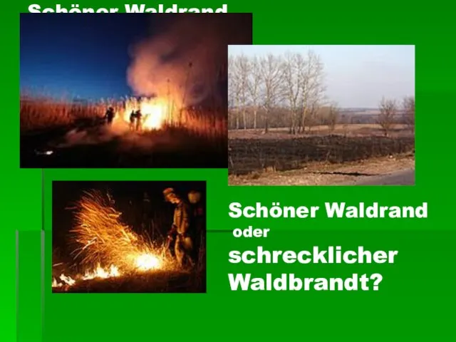 Schöner Waldrand oder schrecklicher Waldbrandt? Schöner Waldrand oder schrecklicher Waldbrandt?