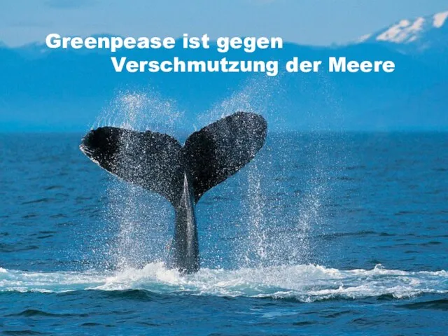 Greenpease ist gegen Verschmutzung der Meere Greenpease ist gegen Verschmutzung der Meere