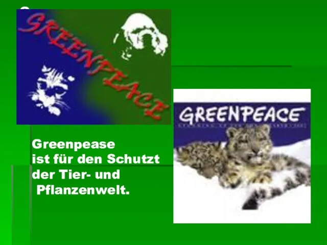 Greenpease ist für den Schutzt der Tier- und Pflanzenwelt. Greenpease ist für