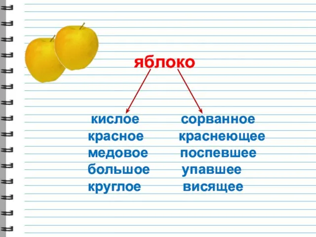 яблоко кислое сорванное красное краснеющее медовое поспевшее большое упавшее круглое висящее