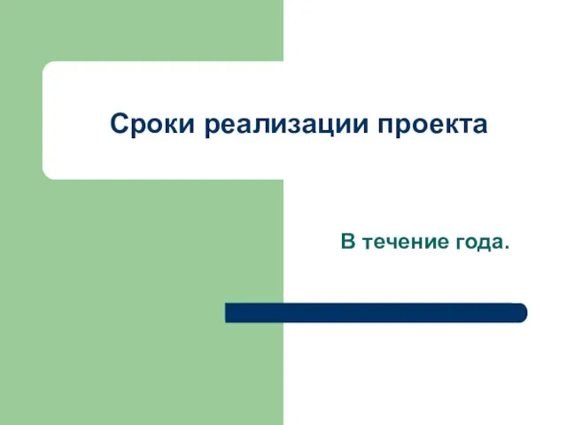 Сроки реализации проекта В течение года.