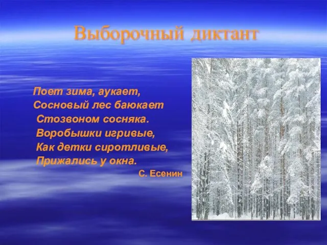 Выборочный диктант Поет зима, аукает, Сосновый лес баюкает Стозвоном сосняка. Воробышки игривые,