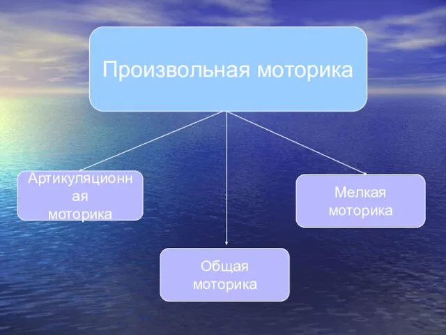 Произвольная моторика Артикуляционная моторика Общая моторика Мелкая моторика