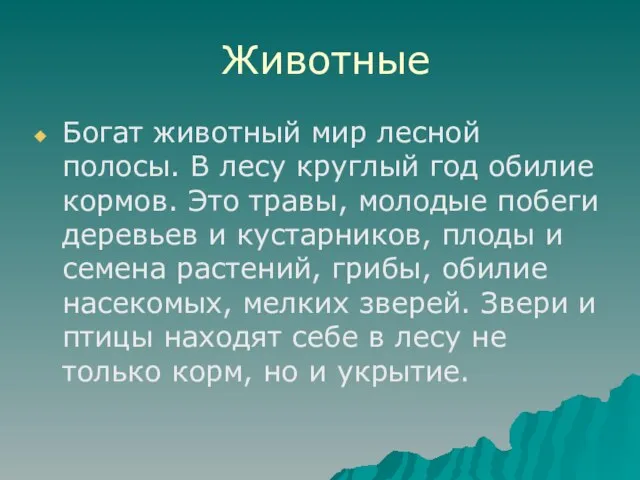 Животные Богат животный мир лесной полосы. В лесу круглый год обилие кормов.