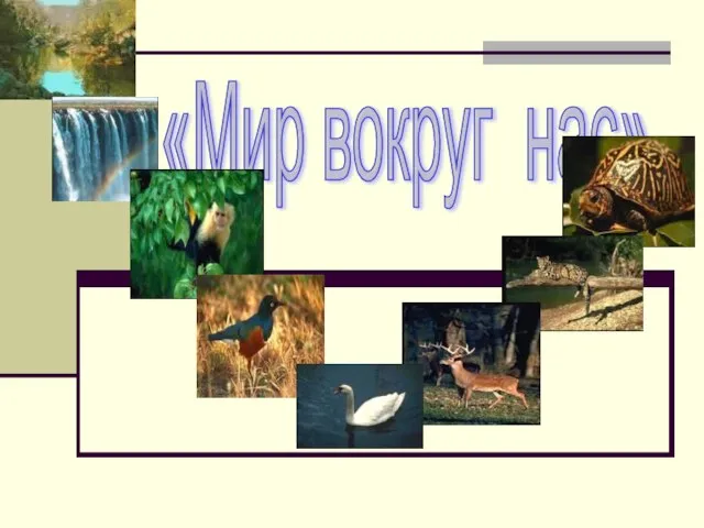 «Мир вокруг нас»