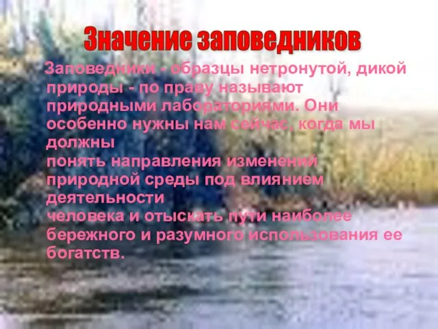 Заповедники - образцы нетронутой, дикой природы - по праву называют природными лабораториями.