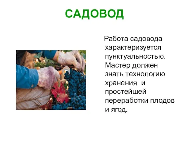 САДОВОД Работа садовода характеризуется пунктуальностью. Мастер должен знать технологию хранения и простейшей переработки плодов и ягод.