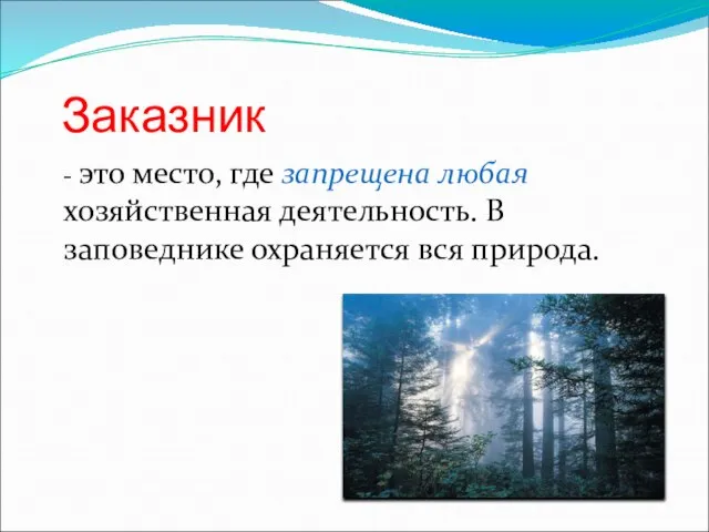 Заказник - это место, где запрещена любая хозяйственная деятельность. В заповеднике охраняется вся природа.