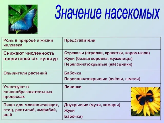 Значение насекомых