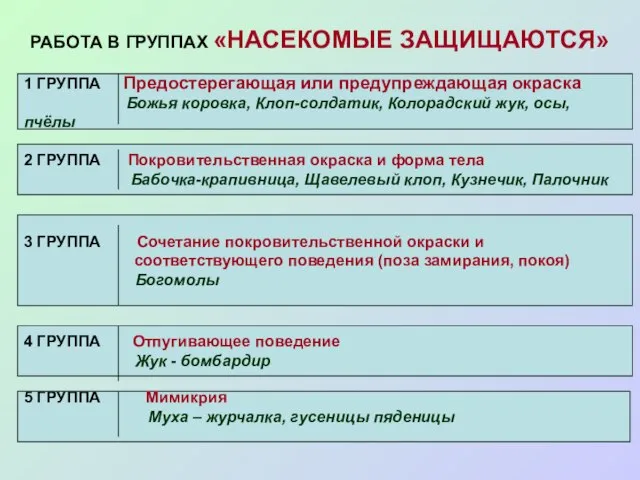 РАБОТА В ГРУППАХ «НАСЕКОМЫЕ ЗАЩИЩАЮТСЯ» 1 ГРУППА Предостерегающая или предупреждающая окраска Божья