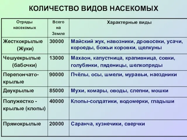 КОЛИЧЕСТВО ВИДОВ НАСЕКОМЫХ