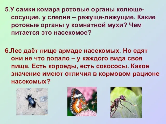 5.У самки комара ротовые органы колюще-сосущие, у слепня – режуще-лижущие. Какие ротовые