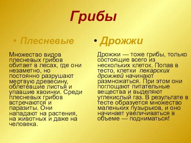 Грибы Плесневые Множество видов плесневых грибов обитает в лесах, где они незаметно,