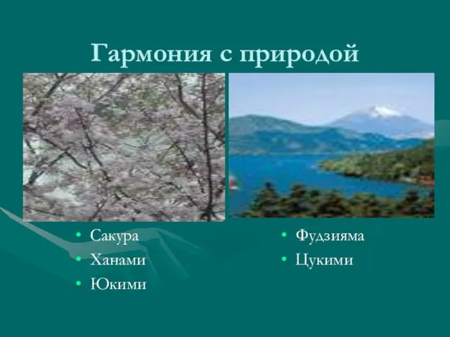 Гармония с природой Сакура Ханами Юкими Фудзияма Цукими