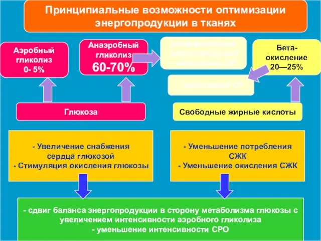 Принципиальные возможности оптимизации энергопродукции в тканях Глюкоза Свободные жирные кислоты Аэробный гликолиз