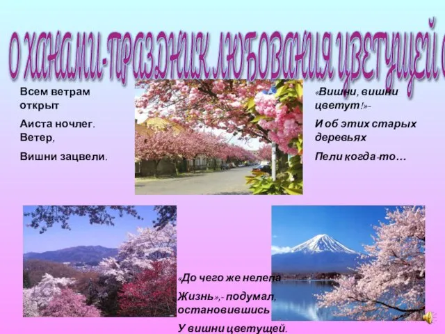 О ХАНАМИ-ПРАЗДНИК ЛЮБОВАНИЯ ЦВЕТУЩЕЙ САКУРОЙ «Вишни, вишни цветут!»- И об этих старых