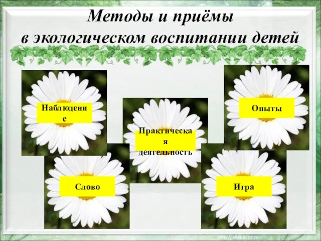 Методы и приёмы в экологическом воспитании детей Наблюдение Слово Практическая деятельность Игра Опыты