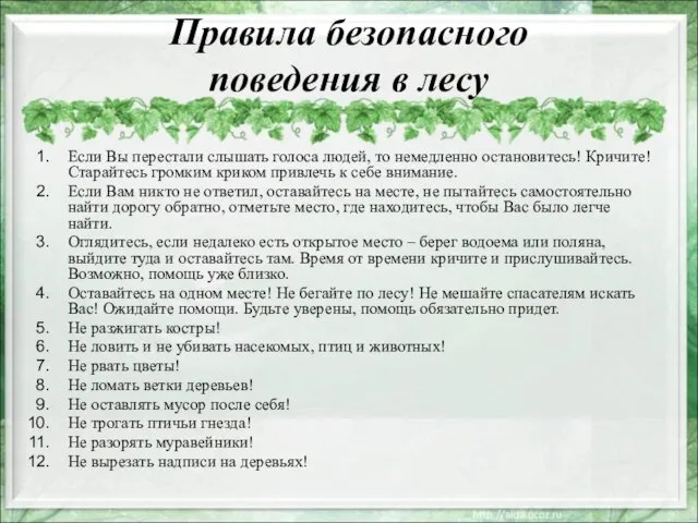 Правила безопасного поведения в лесу Если Вы перестали слышать голоса людей, то