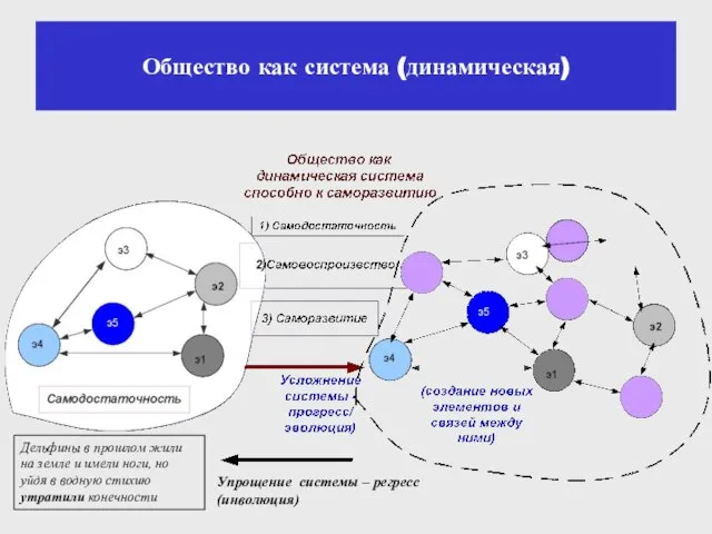 Общество как система (динамическая) Упрощение системы – регресс (инволюция) Дельфины в прошлом