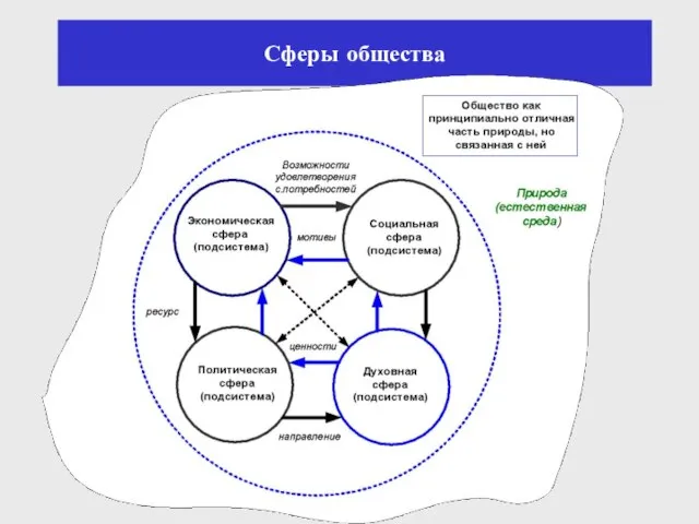 Сферы общества