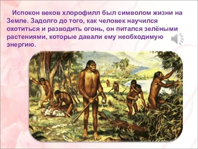 Испокон веков хлорофилл был символом жизни на Земле. Задолго до того, как