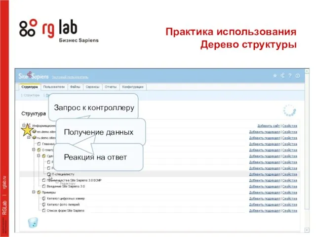 Практика использования Дерево структуры