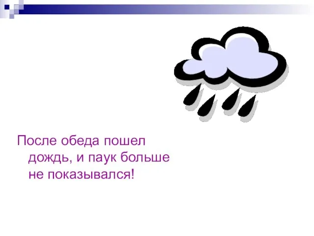 После обеда пошел дождь, и паук больше не показывался!