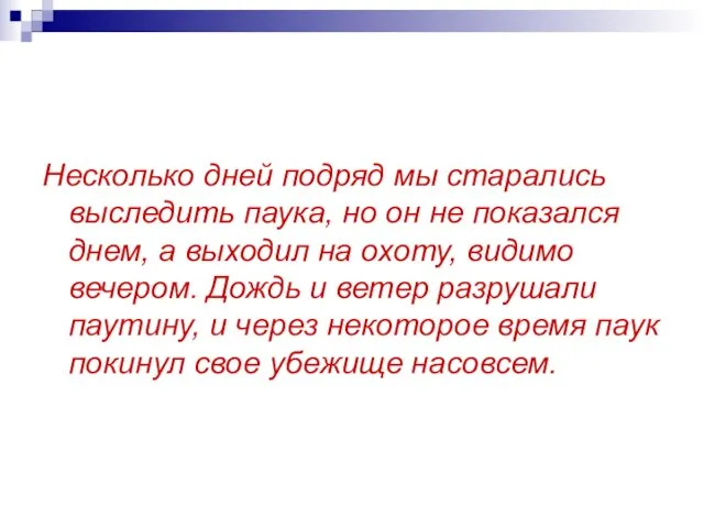 Несколько дней подряд мы старались выследить паука, но он не показался днем,