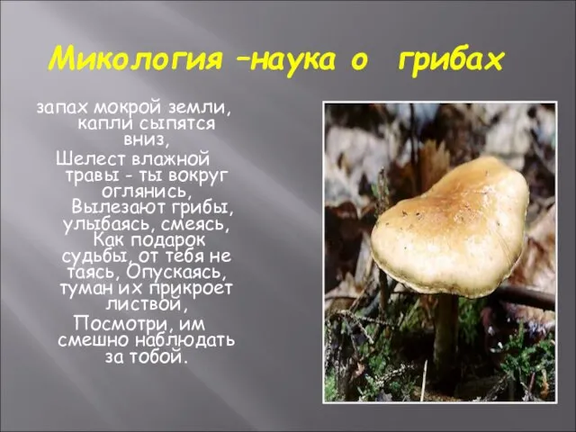 Микология –наука о грибах запах мокрой земли, капли сыпятся вниз, Шелест влажной