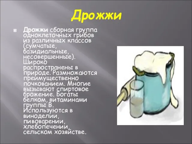 Дрожжи Дрожжи сборная группа одноклеточных грибов из различных классов (сумчатые, базидиальные, несовершенные).