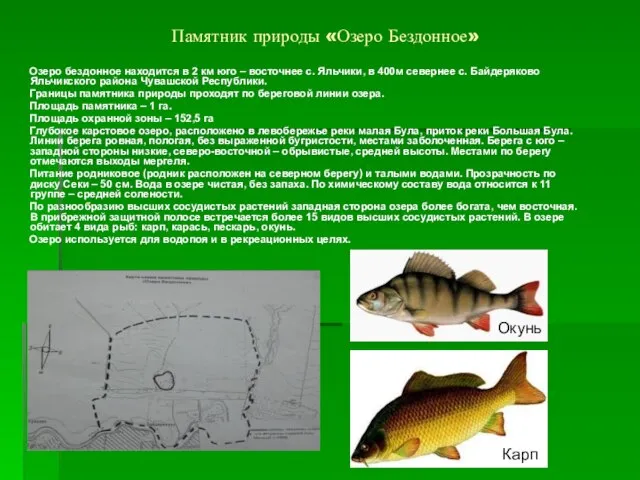 Памятник природы «Озеро Бездонное» Озеро бездонное находится в 2 км юго –