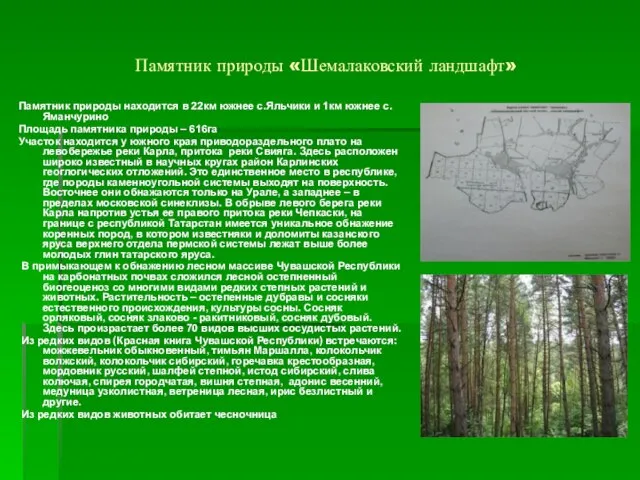 Памятник природы «Шемалаковский ландшафт» Памятник природы находится в 22км южнее с.Яльчики и